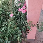 Leki Apartamento