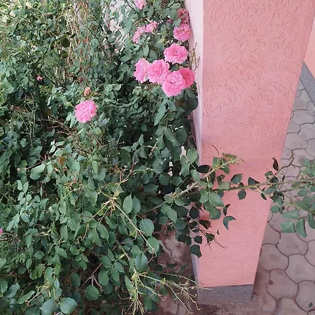 Leki Apartment